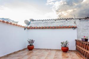a patio with two potted plants on a white wall at Hotel Casa de las Rosas in Cuenca +11 photos