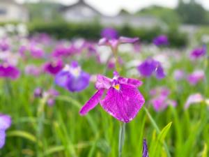 民泊ウトカ室外花園