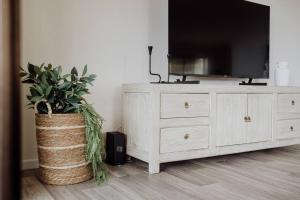 a dresser with a television and a potted plant at Acreage property, pet friendly, outdoor campfire in Bald Knob