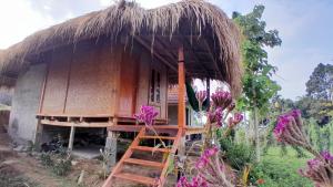 Bayan Exotic Homestay外面的花园