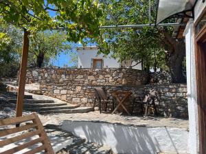 a dog standing in front of a stone wall at Linos Traditional Cottage in Theológos