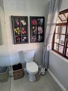 a bathroom with a toilet and some pictures on the wall at Rooiheuwel Cottage in Wellington +8 photos