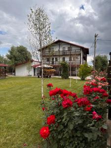 Zahrada ubytování Casa Carp Calarasi