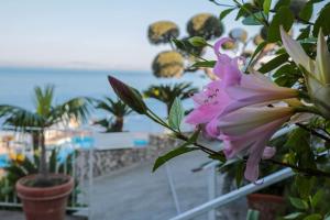 a pink flower in front of a view of the beach at Hotel Villa Lubrense Sorrento in Massa Lubrense