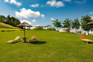 two chairs and an umbrella in the grass at Yurte in Langa in Bosia
