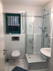 a bathroom with a shower and a toilet and a sink at Einfach nur schön in Oberhausen +8 photos