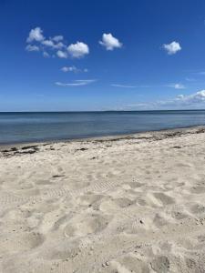a sandy beach with the ocean in the background at HuusamDarß in Fuhlendorf +22 photos