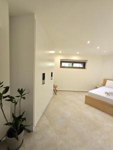 a bedroom with a bed and a potted plant at Wind Apartment in Agia Roumeli in Agia Roumeli