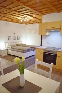 a kitchen and living room with a bed and a table at Ferienwohnungen am Burgberg in Lichtenberg
