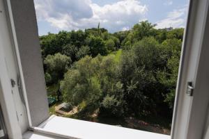 Príroda v okolí apartmánu