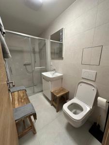 Koupelna v ubytování Angel Wings Mountain Apartment Černý Důl + 37 fotografií