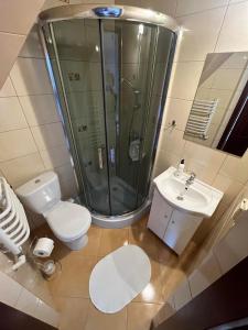 a bathroom with a shower and a toilet and a sink at U Celiny - Widok na Tatry - Region Białki Tatrzańskiej in Rzepiska