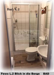 a bathroom with a shower and a toilet and a sink at Harz Fewo Eulennestchen L2 in Altenau +8 photos