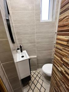 a bathroom with a toilet and a sink at Appartement moderne et cosy , 5 min de la gare de RER D , remise des clés en main propre in Alfortville