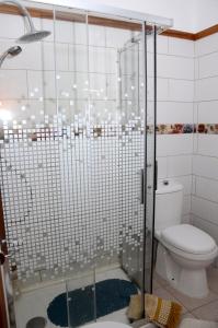 a bathroom with a glass shower with a toilet at Edificio Orion in Tazacorte