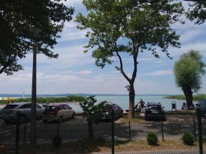 Kék Lagúna Siófok 8600 Siófok, Petőfi sétány 17. fsz. 7. kép - 2