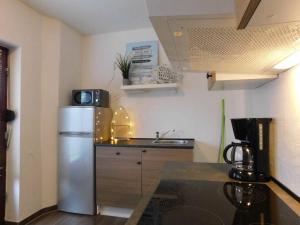 アウリッヒにあるFerienwohnung "Brazil"のステンレス製の冷蔵庫とシンクを備えたキッチン