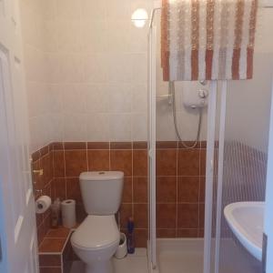 un bagno con wc, doccia e lavandino di Home with a View a Kenmare