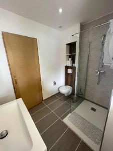 a bathroom with a shower and a toilet and a sink at Apparemment T2 en centre ville in Gournay-en-Bray +5 photos