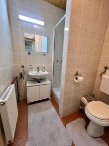 Phòng tắm tại Apartma v objemu gora - Krvavec
