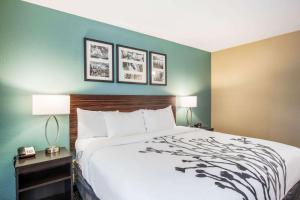 Voodi või voodid majutusasutuse Sleep Inn & Suites Dunmore toas