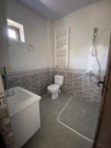 a bathroom with a toilet and a shower in it at Grand Villa Sadgeri in Borjomi