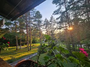 Zahrada ubytování Vila Tatjana-Zlatibor