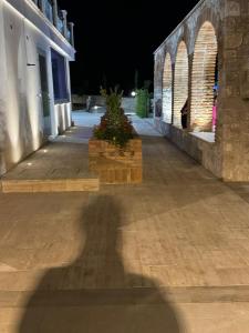 a shadow of a person standing next to a building at TENUTA ROSA - Gastronomia e Relax in Montesano Scalo +69 photos