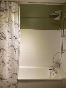 Ένα μπάνιο στο Votre pied-à-terre Parisien à Montreuil-Fontenay +22 φωτογραφίες
