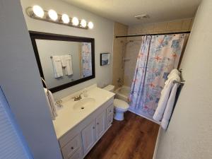 a bathroom with a sink and a toilet and a shower at Waterfront Getaway in Hudson +24 photos
