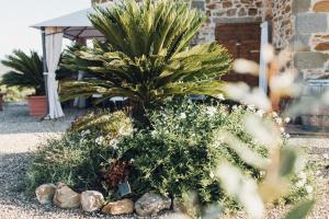Zahrada ubytování Podere Biricocolo - Il Cortile