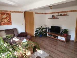 Μια τηλεόραση ή/και κέντρο ψυχαγωγίας στο Haus am Fischbach +11 φωτογραφίες