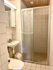 un bagno con doccia, WC e lavandino di Kotimaailma Villa Hortus - Comfortable Studio for2 a Turku