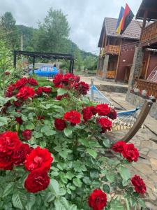 a bunch of red roses in a garden at Світанкове сяйво in Yaremche