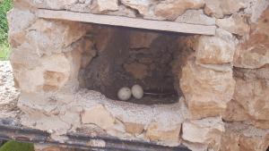 Gallery image ng Gîte ferme avec piscine privée sa Agadir