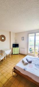 een slaapkamer met een groot bed en een groot raam bij EDEN studio - Gréoux-Les-Bains in Gréoux-les-Bains