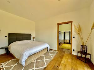 a bedroom with a large bed and a mirror at Villa cosy avec sa piscine in Grimaud