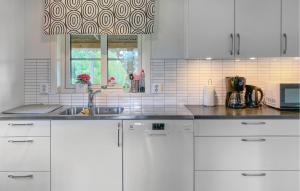 Η κουζίνα ή μικρή κουζίνα στο Holiday Home Hestra With Fireplace 05