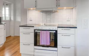 Η κουζίνα ή μικρή κουζίνα στο Holiday Home Hestra With Fireplace 05