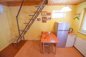a kitchen with a refrigerator and a table and a ladder at Central Brežice Chalet & Parking in Brežice