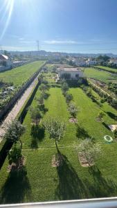 Příroda nedaleko apartmánu + 2 fotografie