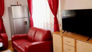 TV a/nebo společenská místnost v ubytování Spasojević Apartman