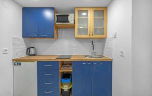 una piccola cucina con armadi blu e lavandino di Pet Friendly Apartment In Rogoznica a Rogoznica (Rogosnizza)