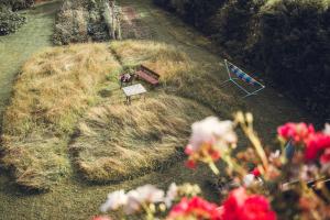 a view of a park with a bench and flowers at Appartements K62 in Bad Mitterndorf