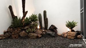 Mynd úr myndasafni af Plant House í Chiayi City