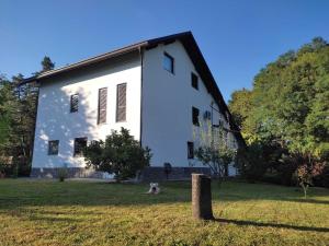 Zahrada ubytování Studio apartman Gorica