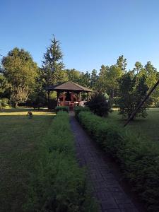 Zahrada ubytování Studio apartman Gorica