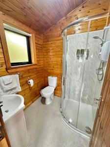 Koupelna v ubytování Cosy Portmor Log Cabin- Sea views, Deck & Relaxation + 33 fotografií