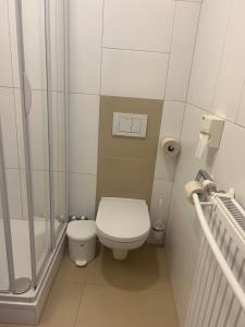 Koupelna v ubytování Villa Styria