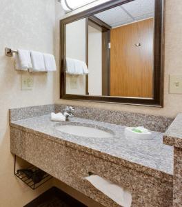 a bathroom with a sink and a mirror at Wingate by Wyndham St Louis-Fenton Route 66 in Fenton